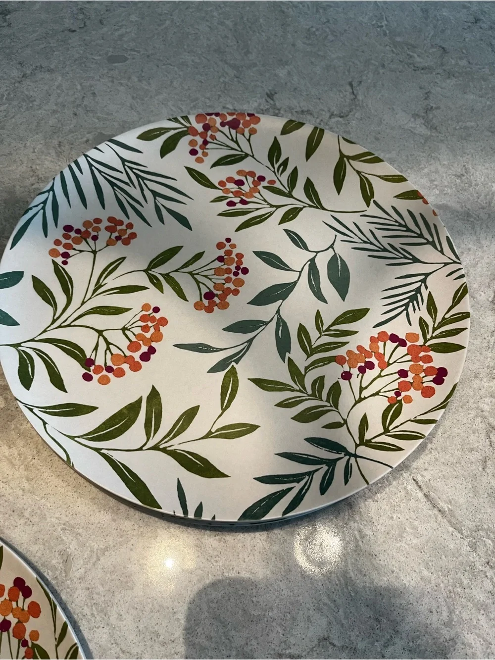 Outdoor Dinner Plate - Green and Orange Set of 8 - heavy duty acrylic
